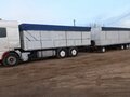 1994 DAF XF 95, белый, 1800000 рублей - вид 8