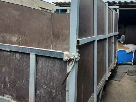 2000 ГАЗ ГАЗель (3302), оранжевый, 380000 рублей, вид 4
