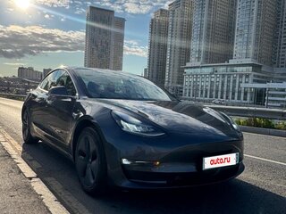 2019 Tesla Model 3 Standart Plus I, серый, 1500000 рублей, вид 2
