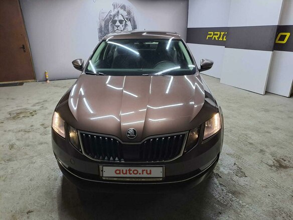 2018 Skoda Octavia III (A7) Рестайлинг, коричневый, 1630000 рублей - вид 1