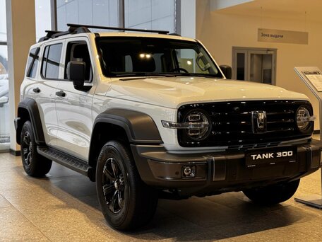 Tank 300 I