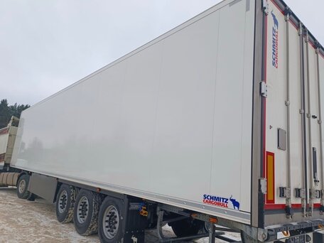2023 Schmitz Cargobull SKO, белый, 10200000 рублей, вид 5