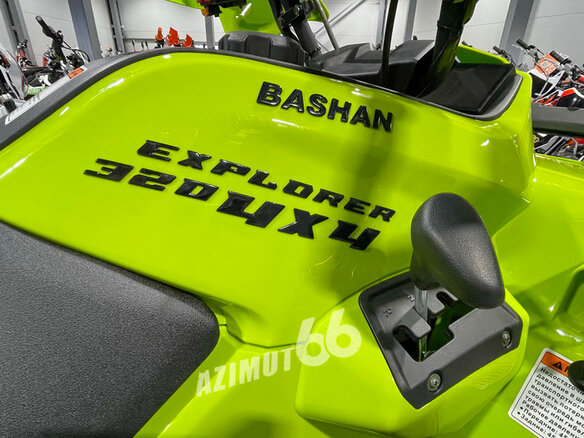 2025 Bashan Explorer 320, зелёный, 499000 рублей - вид 10