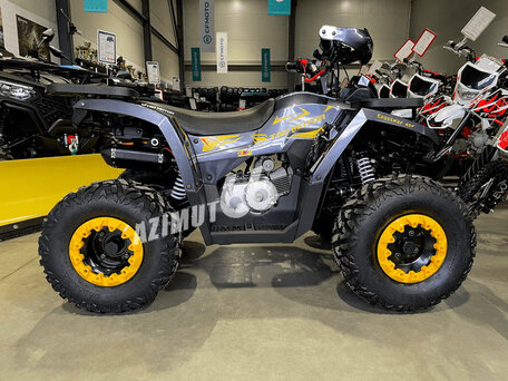 2026 Tao Motor 125 X, серый, 109990 рублей, вид 3