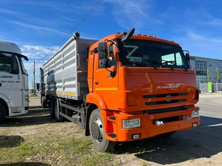 2023 КамАЗ 65115, серый, 5500000 рублей, вид 4