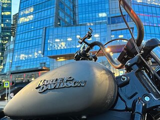 2019 Harley-Davidson Street Bob, серый, 1190000 рублей, вид 3