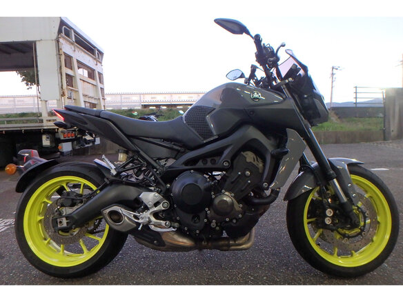 2017 Yamaha MT-09 (FZ-09), серый, 860000 рублей