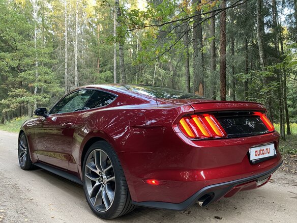 2016 Ford Mustang VI, красный - вид 26