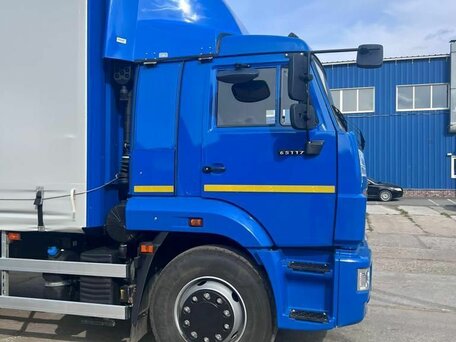 2022 КамАЗ 65117, синий, 4500000 рублей, вид 4