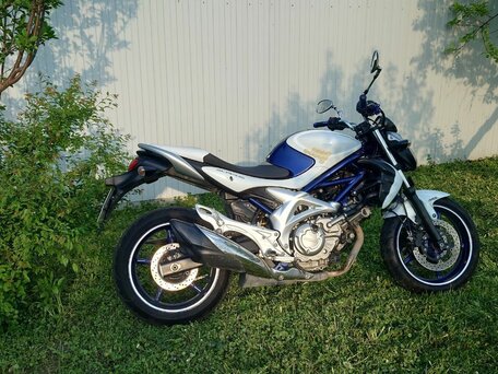 2010 Suzuki SFV 400 Gladius, белый, 420000 рублей, вид 2