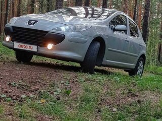 2007 Peugeot 307 I Рестайлинг, серый, 450000 рублей, вид 5