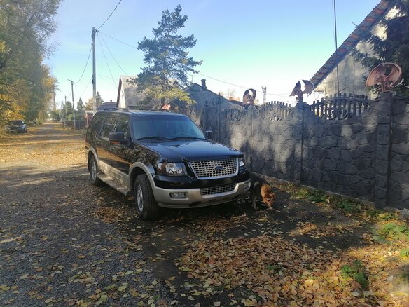 2005 Ford Expedition II, чёрный, 2100000 рублей - вид 2