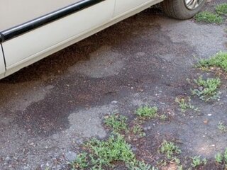 1999 ГАЗ 3110 «Волга», серый, 300000 рублей, вид 1
