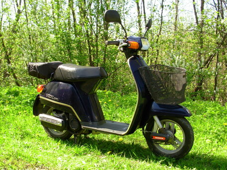 1983 Honda Vocal, синий, 38000 рублей, вид 1