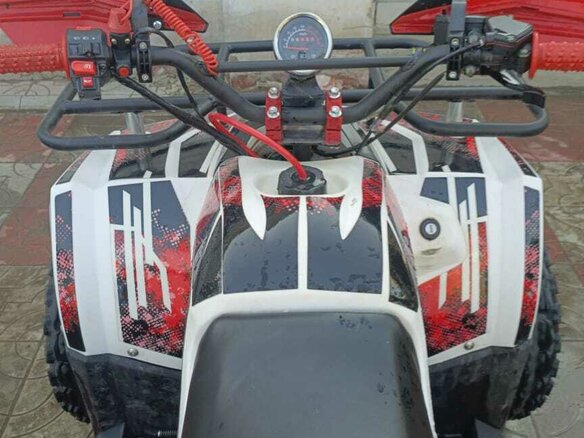2023 Racer ATV 50, белый, 100000 рублей - вид 5