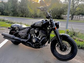 Indian Chief
