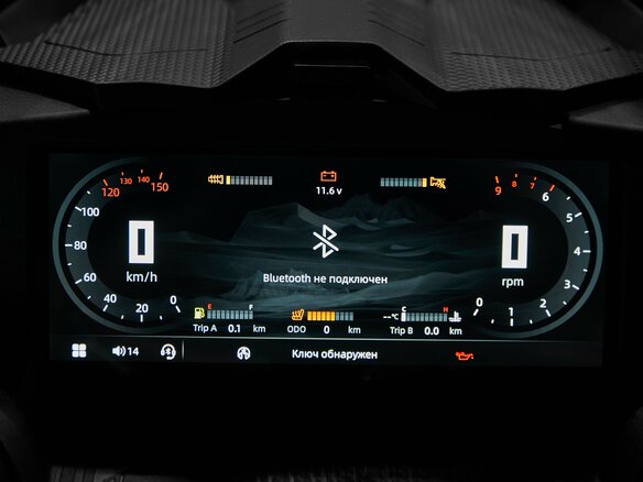 2025 AODES (Odes) Snowcross 1000, бежевый, 999000 рублей - вид 5