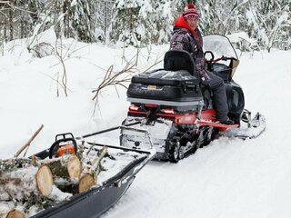 2025 AODES (Odes) Snowcross 1000, красный, 999000 рублей, вид 2