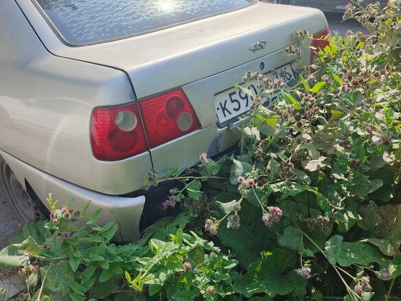 2006 Chery Amulet (A15) I, серебристый, 45000 рублей - вид 3