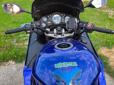 2001 Honda CBR 1100 XX, синий, 470000 рублей, вид 5