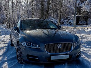 2011 Jaguar XJ IV (X351), серый, 1600000 рублей, вид 2
