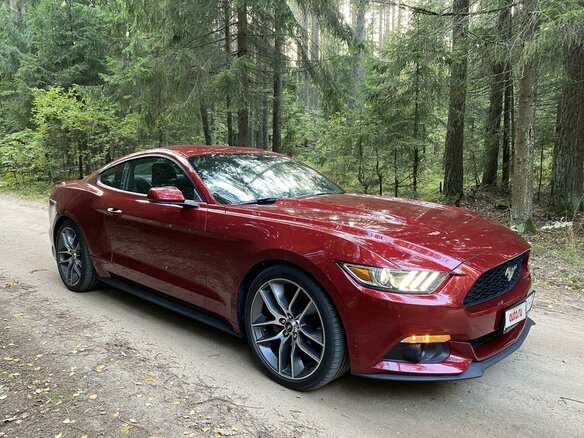 2016 Ford Mustang VI, красный - вид 25