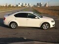 2014 Skoda Octavia III (A7), белый, 1580000 рублей - вид 4