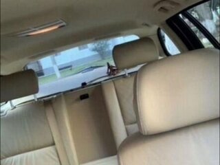 2007 BMW 5 серии 520d V (E60/E61) Рестайлинг, чёрный, 1300000 рублей, вид 5