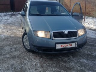 2004 Skoda Fabia I Рестайлинг, серый, 290000 рублей, вид 3