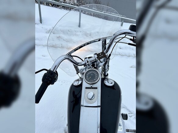 2001 Harley-Davidson Softail Standard, чёрный, 789000 рублей - вид 13