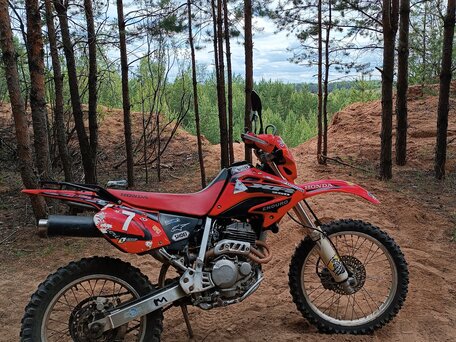 2001 Honda XR 250, красный, 240000 рублей, вид 1