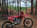 2001 Honda XR 250, красный, 240000 рублей