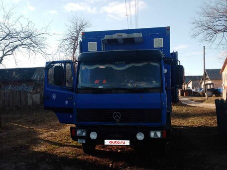 1993 Mercedes-Benz 814, синий, 900000 рублей, вид 2