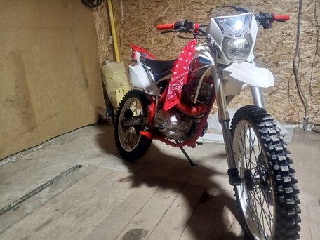 2018 Wels MX250R, белый, 90000 рублей, вид 1