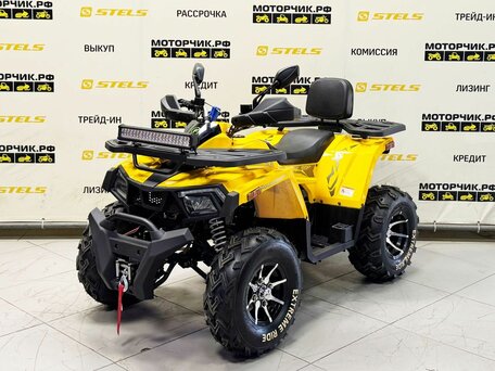 2026 Motoland Wild Track 200 X Pro, жёлтый, 219000 рублей, вид 1