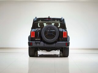 2024 Tank 300 I, чёрный, 4239000 рублей, вид 4
