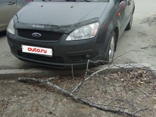 2004 Ford C-MAX I, серый, 300000 рублей, вид 1