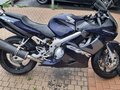2002 Honda CBR 600F, синий, 380000 рублей - вид 2