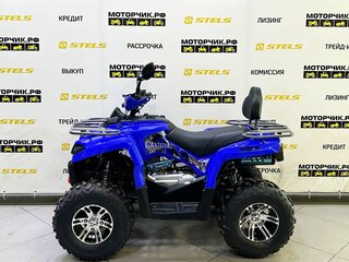 2025 Bison Hammer 250 PRO, синий, 252990 рублей, вид 2