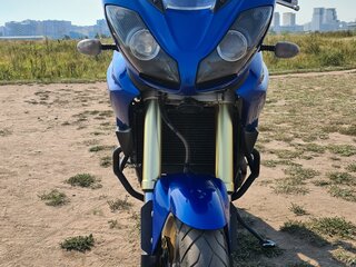 2007 Triumph Tiger 1050, синий, 350000 рублей, вид 3