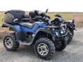 2015 Stels ATV-300, синий, 375000 рублей - вид 10