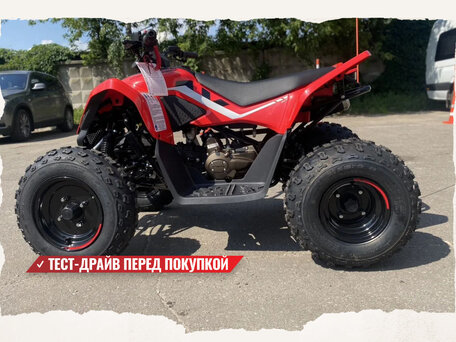 2025 CFMoto CFORCE 110, красный, 269910 рублей, вид 3