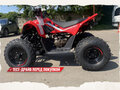 2025 CFMoto CFORCE 110, красный, 269910 рублей - вид 2