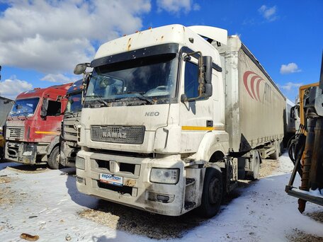 2017 КамАЗ 5490 NEO, белый, 1137500 рублей, вид 1