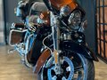 2019 Harley-Davidson CVO Limited, коричневый, 3850000 рублей - вид 8