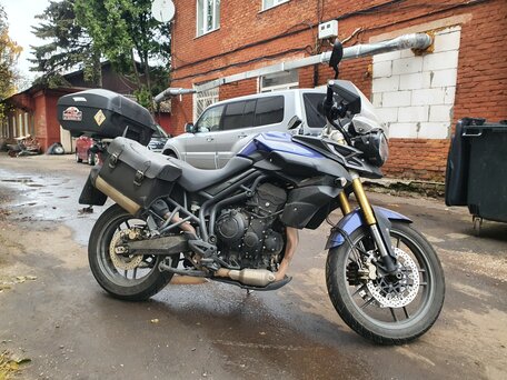 2013 Triumph Tiger 800, синий, 620000 рублей, вид 5