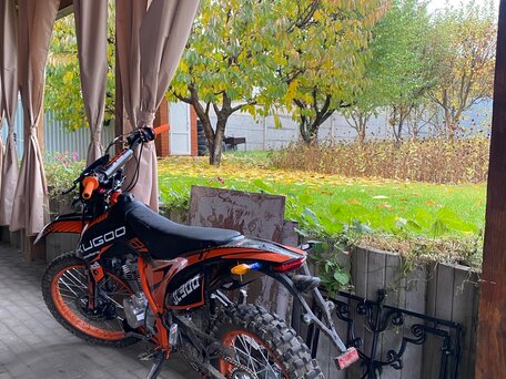 2024 Avantis Enduro 300 Carb, красный, 90000 рублей, вид 3