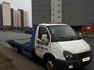 2012 ГАЗ ГАЗель (3302), белый, 1455555 рублей, вид 1