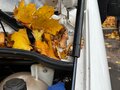 2025 ГАЗ ГАЗель Next, белый, 2700000 рублей - вид 11