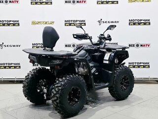 2025 Bison 250U, чёрный, 309900 рублей, вид 5